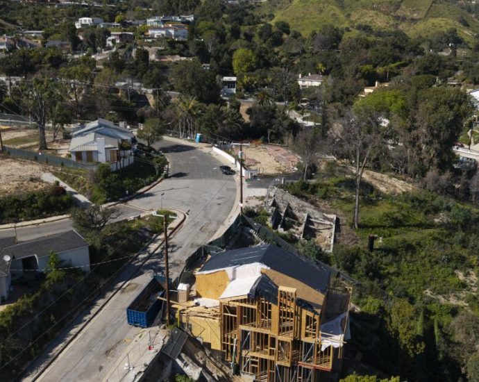 what-to-plant-(and-what-to-remove)-in-california’s-new-‘zone-zero’-fire-safety-proposal