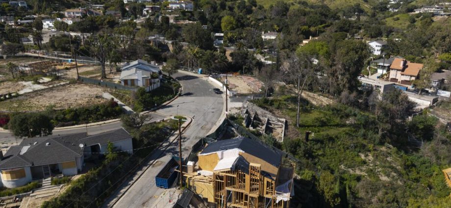 what-to-plant-(and-what-to-remove)-in-california’s-new-‘zone-zero’-fire-safety-proposal