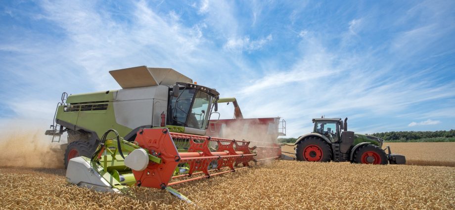 immigration-crackdowns-spur-fears-of-labor-shortages-for-farmers