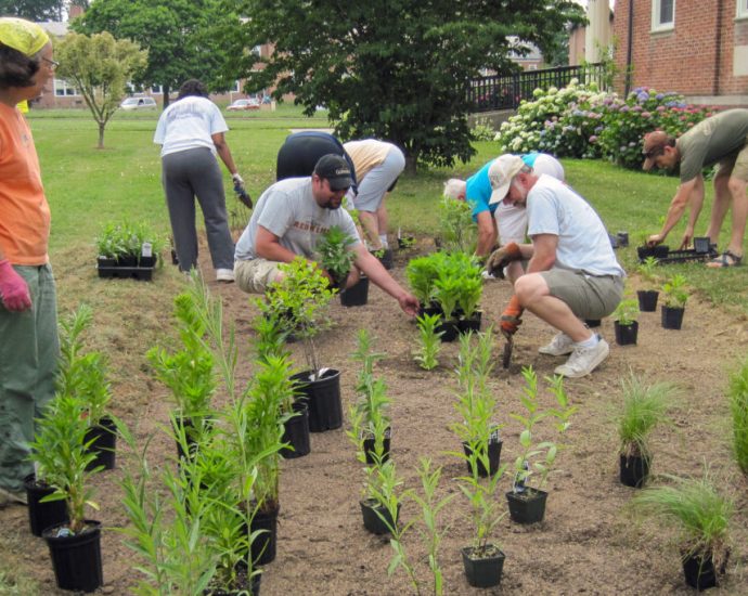 to-battle-climate-change,-a-baltimore-church-turns-to-nature