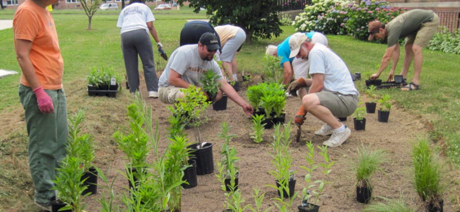 to-battle-climate-change,-a-baltimore-church-turns-to-nature