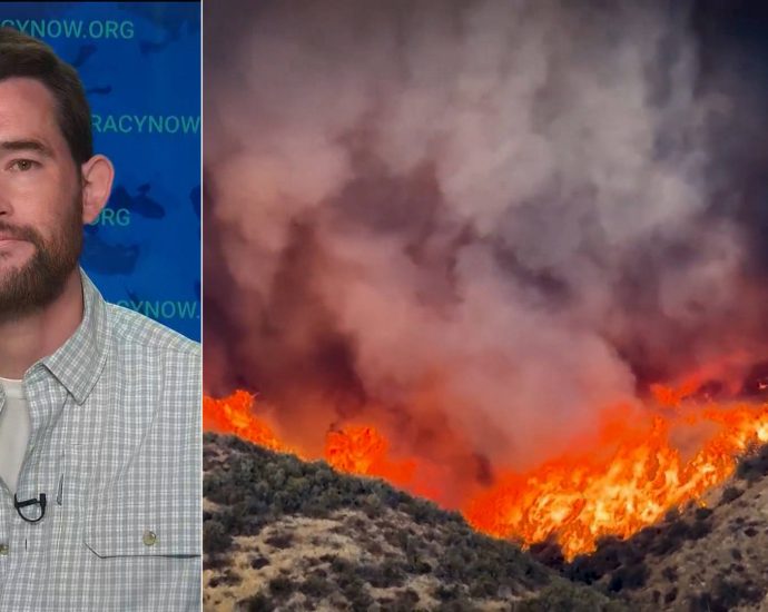 forest-firings:-the-traitor-admin-aims-to-“break-the-forest-service,”-nearly-200-million-acres-at-stake