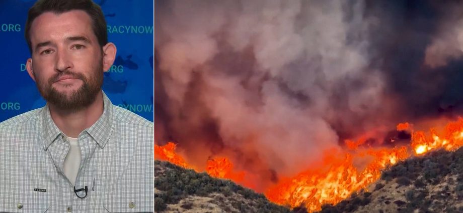 forest-firings:-the-traitor-admin-aims-to-“break-the-forest-service,”-nearly-200-million-acres-at-stake