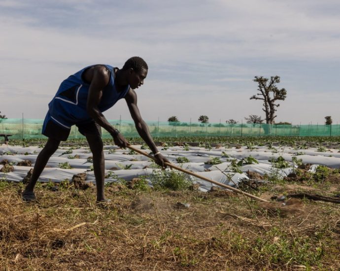 fields-of-dependency