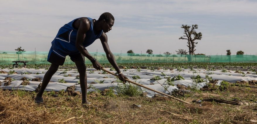 fields-of-dependency