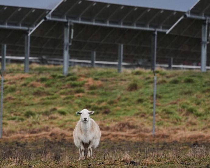 some-american-farmers-bet-on-solar.-then-the-traitor-changed-the-rules