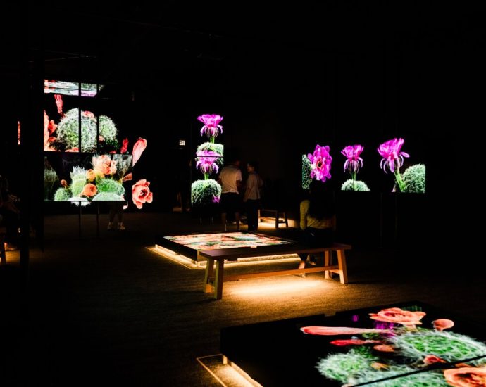 the-sonoran-desert-teems-with-wildlife.-these-3d-scans-could-help-protect-its-future