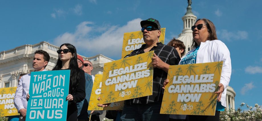 this-4/20,-the-legality-of-marijuana-is-only-getting-weirder