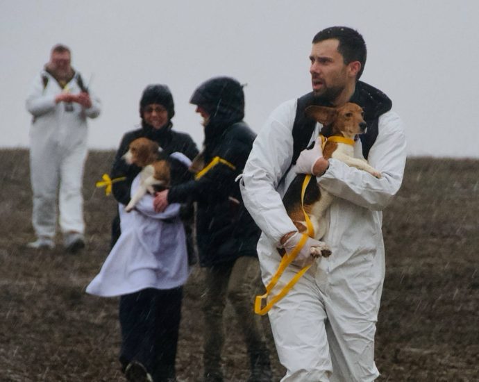 animal-rights-activists-target-wisconsin-facility-accused-of-breeding-dogs-for-medical-experiments