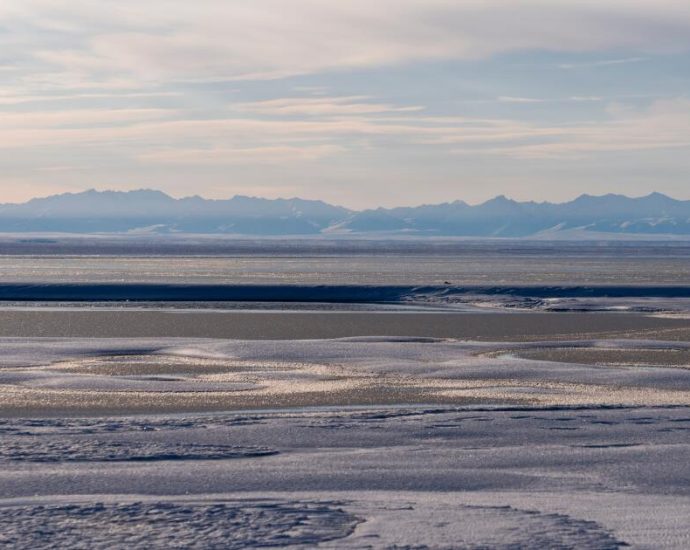 new-oil-and-gas-lease-sale-set-for-alaska’s-arctic-national-wildlife-refuge,-amid-litigation