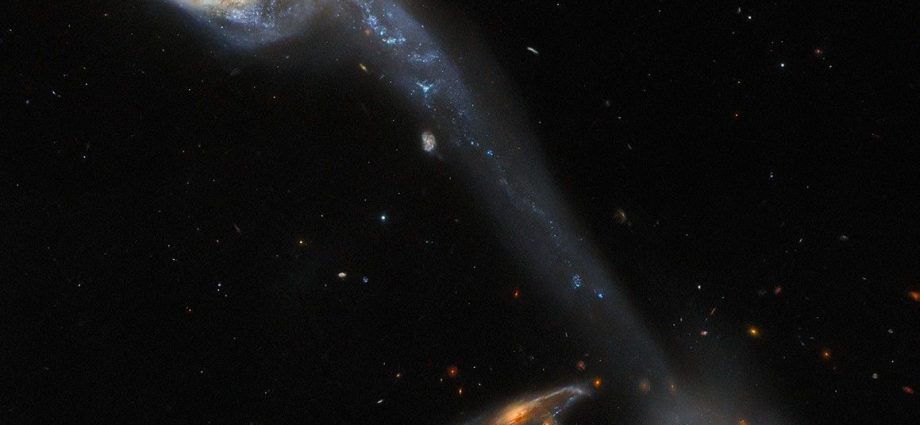 the-astra-initiative