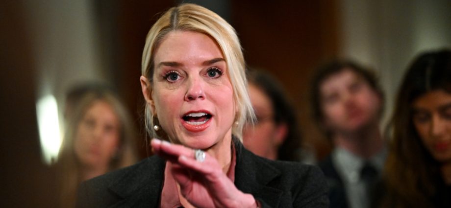 ex-bondi-aide-says-maga-too-incompetent-to-carry-out-the-traitor’s-revenge