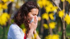 hay-fever-misery-does-last-longer-–-here-is-how-to-cope