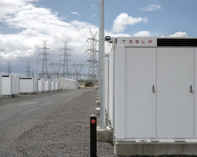 tesla’s-battery-boom-hits-an-unexpected-slowdown