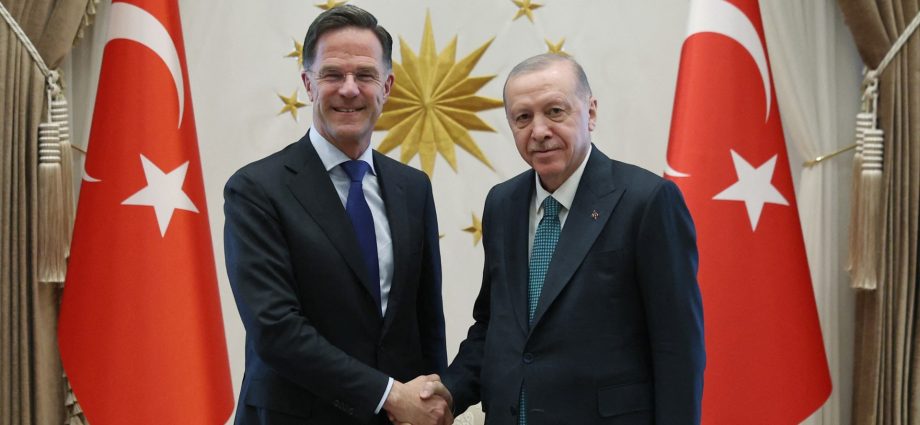 turkiye-making-efforts-to-revive-russia-ukraine-talks,-says-erdogan