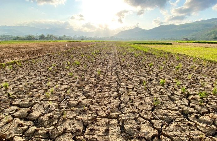 how-climate-change-may-increase-antibiotic-resistance