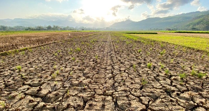 how-climate-change-may-increase-antibiotic-resistance