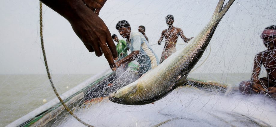 can-fish-hook-voters-in-india’s-west-bengal-elections?