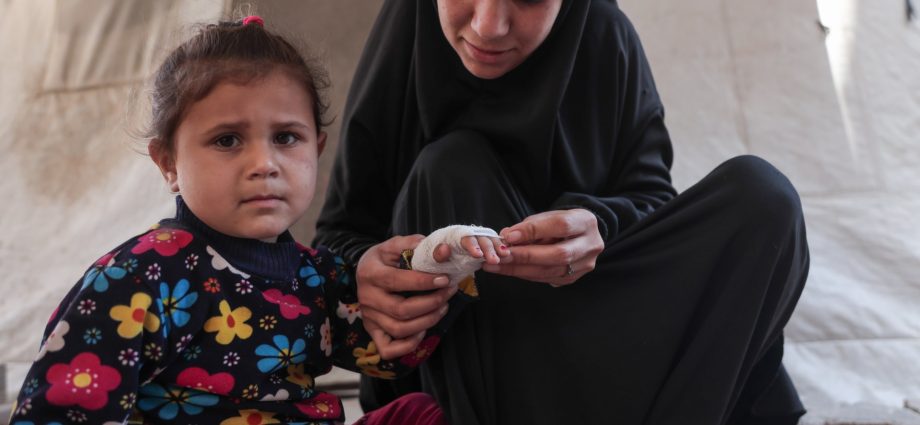 gaza’s-second-front:-the-battle-against-disease-carrying-rats