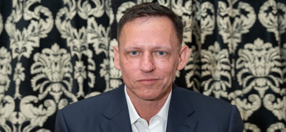 thiel-backed-ai-project-to-block-bad-press-looks-like-a-bust