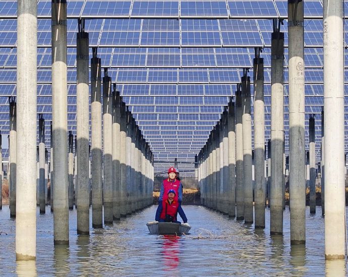 renewable-energy-has-caught-up-to-coal-as-the-world’s-largest-power-source