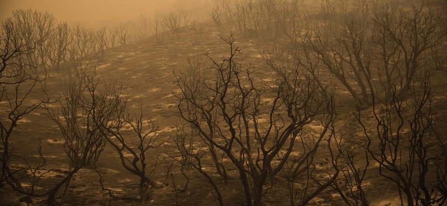 wildfires-transform-soil,-turning-a-nutrient-into-poisonous-chromium-6