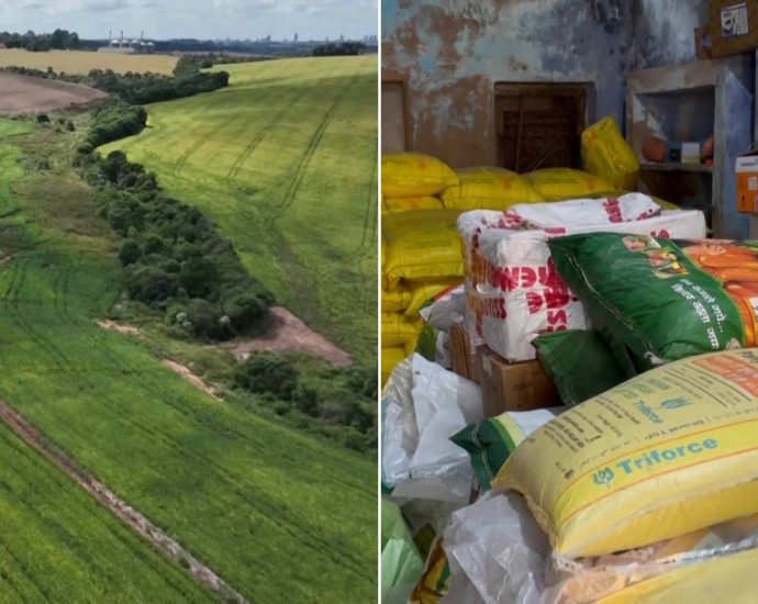 the-looming-food-crisis:-why-the-strait-of-hormuz-is-disrupting-global-agriculture