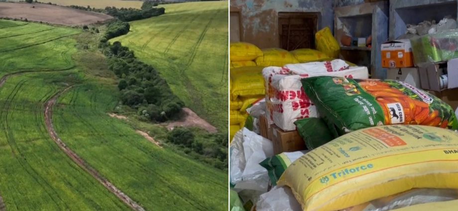 the-looming-food-crisis:-why-the-strait-of-hormuz-is-disrupting-global-agriculture