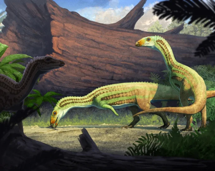 this-ancient-crocodile-relative-grew-up-on-four-legs-then-walked-on-two