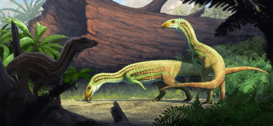 this-ancient-crocodile-relative-grew-up-on-four-legs-then-walked-on-two