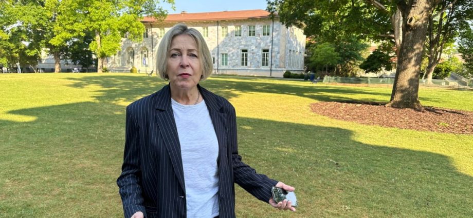 us-professors-sue-university-over-arrest-during-pro-palestine-protest