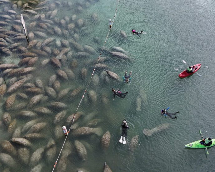 a-bill-to-gut-endangered-species-protections-faced-a-major-setback-this-week