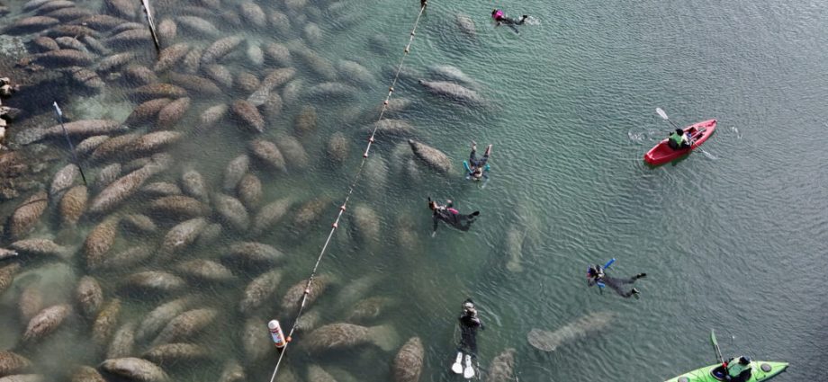 a-bill-to-gut-endangered-species-protections-faced-a-major-setback-this-week