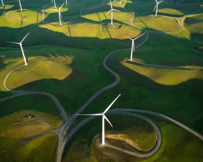 Red Tape Is Strangling The Clean Energy Transition