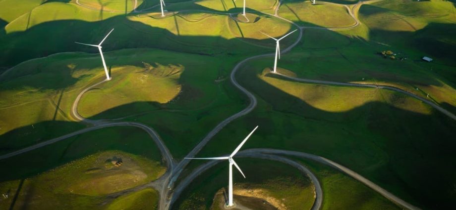 Red Tape Is Strangling The Clean Energy Transition