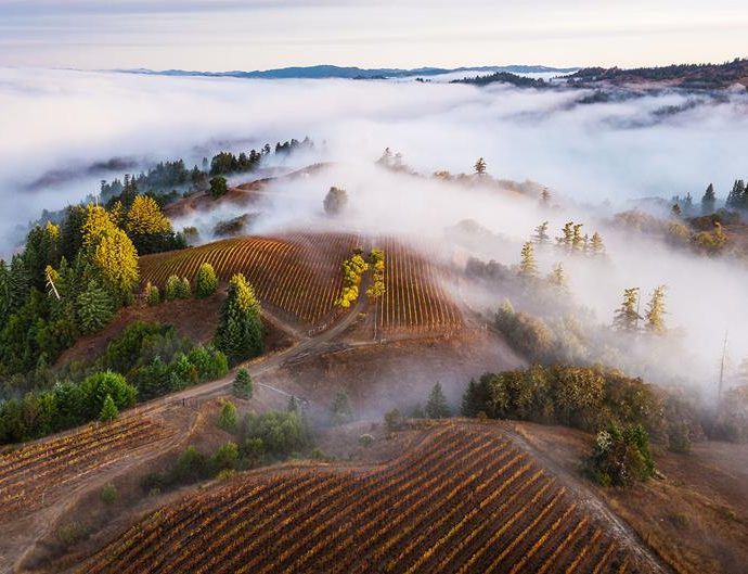 Fog is a vital water resource. Could it disappear in a warming world?