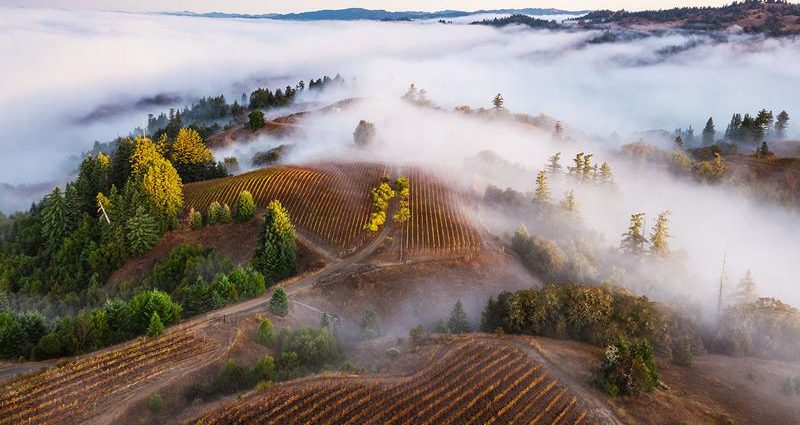 Fog is a vital water resource. Could it disappear in a warming world?