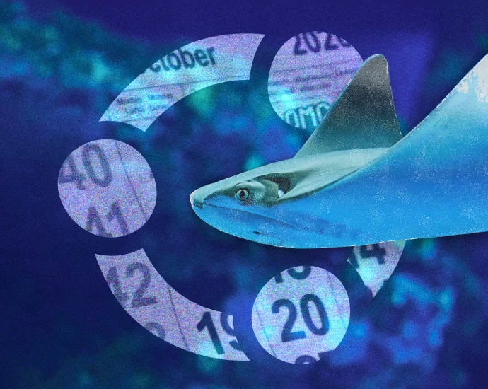 ubuntu-26.10-(stonking-stingray)-release-date-&-schedule