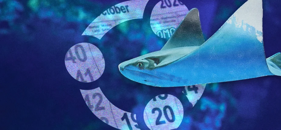 ubuntu-26.10-(stonking-stingray)-release-date-&-schedule