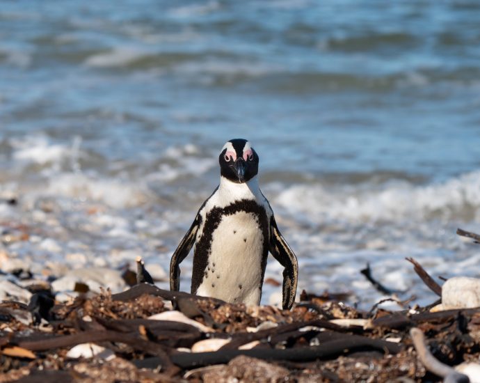 more-ancient-linux-device-support-faces-the-chop