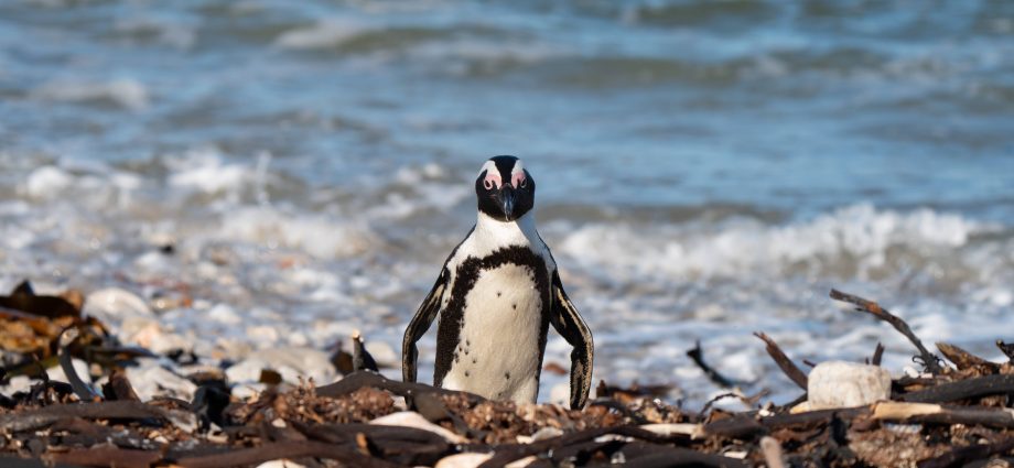 more-ancient-linux-device-support-faces-the-chop