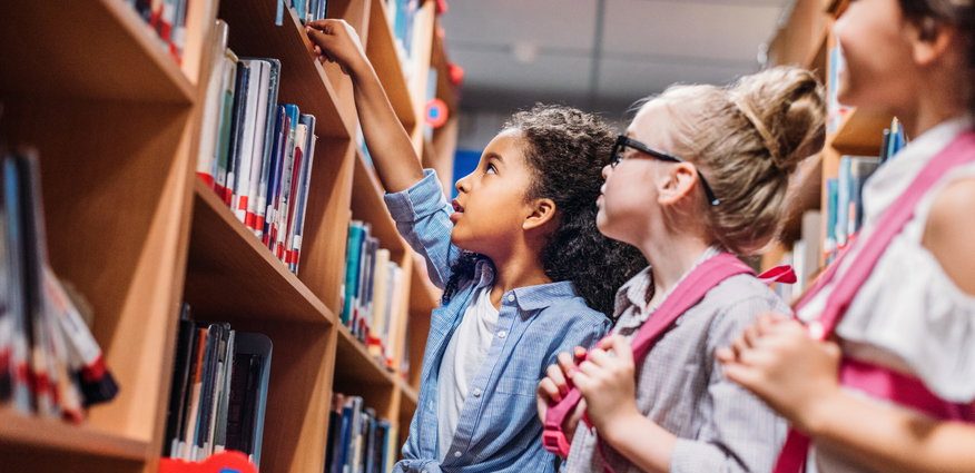 the-traitor’s-proposed-budget-guts-local-libraries-and-museums