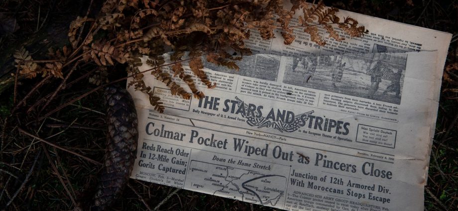 she-tried-to-preserve-military-newspaper’s-editorial-independence.-now-she’s-losing-her-job