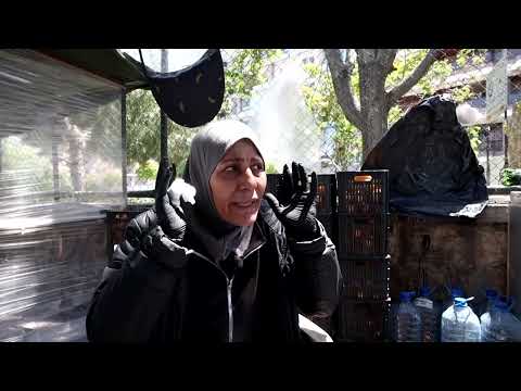 a-juice-stand-and-a-car-how-a-lebanese-family-is-surviving-war