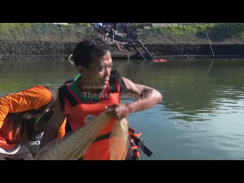 explosion-of-invasive-‘janitor-fish’-sparks-mass-removal-operation-in-indonesia’s-capital