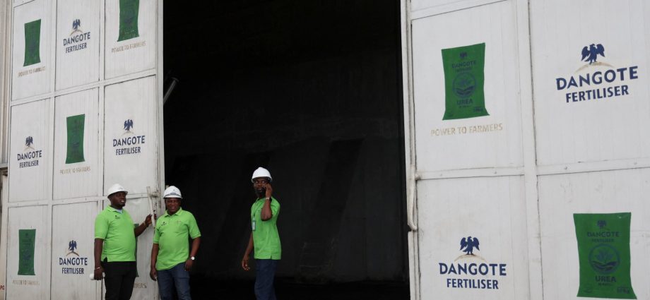 african-governments-need-to-take-urgent-action-on-fertiliser-shortages