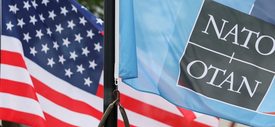 how-serious-is-the-rift-in-nato?