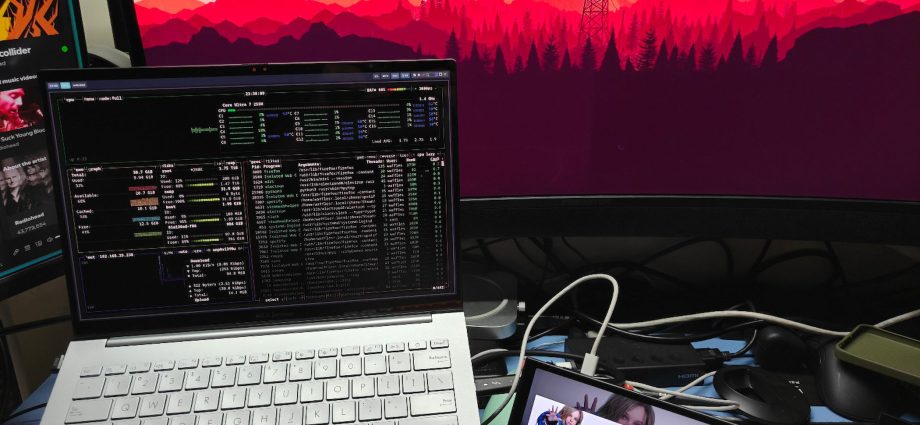 I tested four Linux tiling window managers and one of them clearly won me over