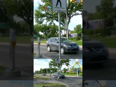 cost-of-dutch-elm-disease-in-saskatoon-rising