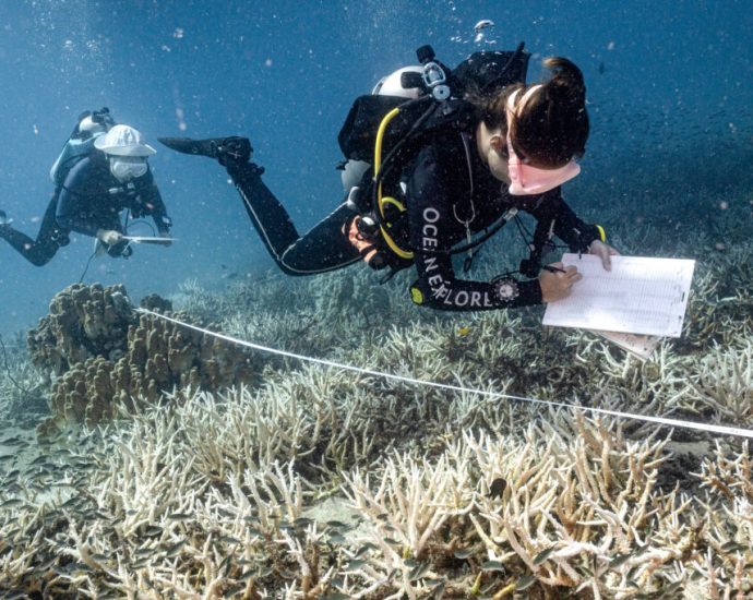 sewage-is-threatening-coral-reefs-around-the-world,-even-in-marine-protected-areas
